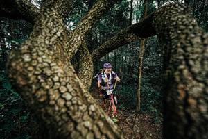 BIB: 
                            <button type="button" onclick="openModal(25393502)" class="btn btn-primary btn-sm float-right btn-popup" data-toggle="modal" data-target=".modal-high-quality">
                        <i class="fas fa-shopping-cart"></i> Add to Cart
                    </button>
                                            <button type="button" onclick="isThisMe(25393502, true)" class="btn btn-success btn-sm float-right btn-popup btn-isme hidden" data-toggle="tooltip" data-placement="bottom" title="นี่คือรูปของคุณใช่ไหม คลิกที่นี่เพื่อเอาเข้าอัลบั้ม">
                        <i class="fas fa-plus"></i> Add to album
                    </button>
                    <button type="button" onclick="isThisMe(25393502, false)" class="btn btn-warning btn-sm float-right btn-popup btn-isnotme hidden">
                        <i class="fas fa-ban"></i> Remove from album
                    </button>